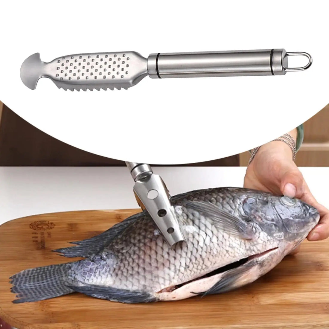 Stainless Steel Fish Scale Remover Tool with Comfortable Handle