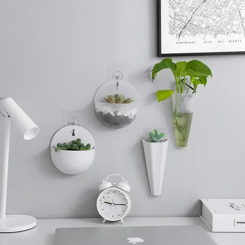 Plastic Hydroponic Wall Mounted Plant Vase - Hanging Flower Pot & Green Dill Planter for Home & Garden Decor - Hom Haven