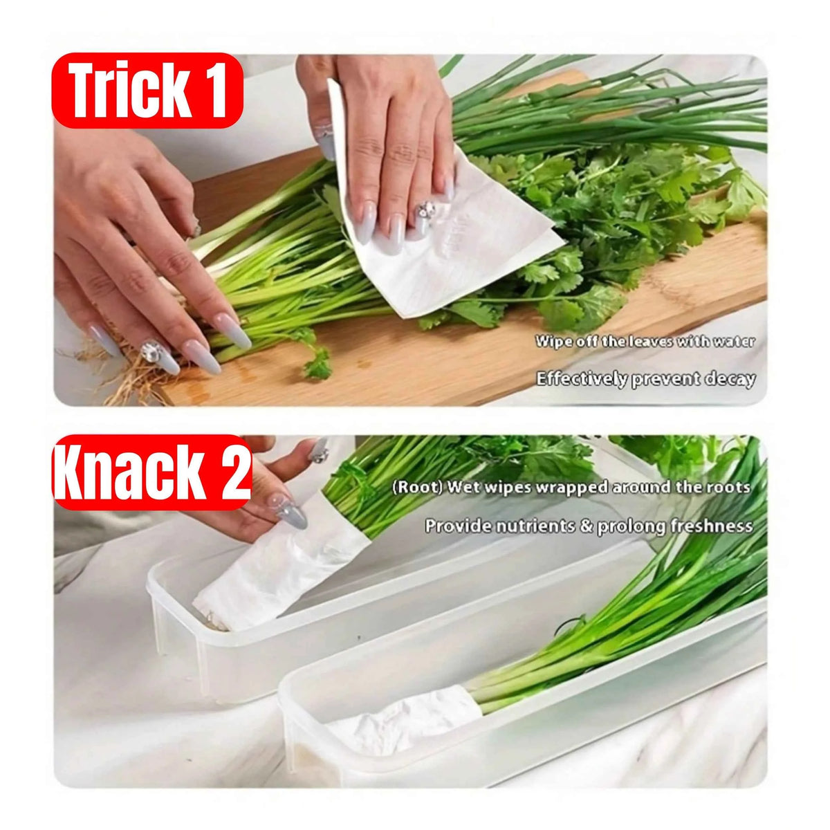 Refrigerator Storage Boxes with Lid - Airtight Fridge Organizer for Vegetables & Food (1/2/4 Pcs) - Hom Haven