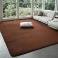 VIKAMA Modern Coral Velvet Carpet - Soft Non-Slip Large Area Rug for Living Room, Bedroom & Kids Play Mat