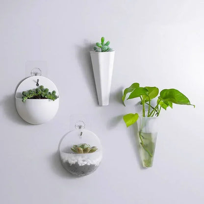 Plastic Hydroponic Wall Mounted Plant Vase - Hanging Flower Pot & Green Dill Planter for Home & Garden Decor - Hom Haven