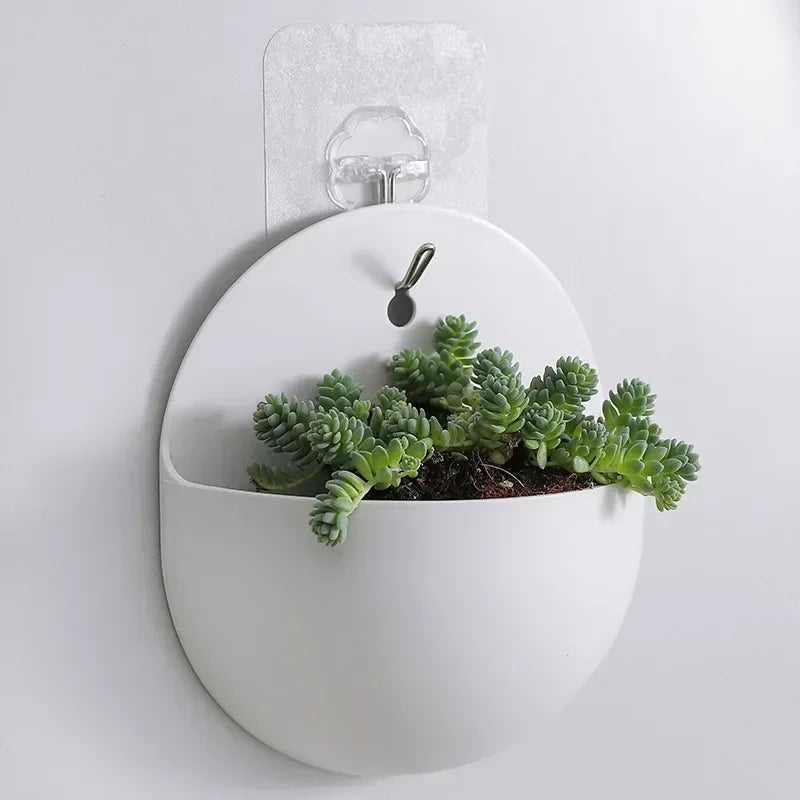 Plastic Hydroponic Wall Mounted Plant Vase - Hanging Flower Pot & Green Dill Planter for Home & Garden Decor - Hom Haven