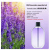 Rechargeable Portable Aromatherapy Diffuser with Essential Oil Deodorizer