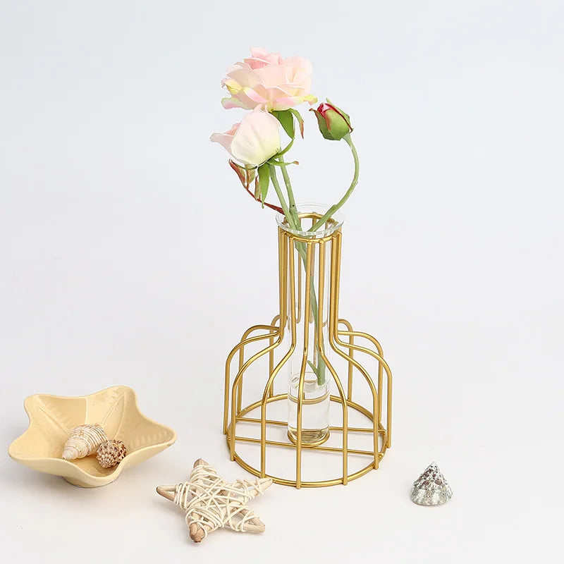 Nordic Iron Golden Hydroponic Vase - Living Room Table Top Decoration for Dried Flowers & Green Plants - Hom Haven