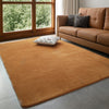 VIKAMA Modern Coral Velvet Carpet - Soft Non-Slip Large Area Rug for Living Room, Bedroom & Kids Play Mat