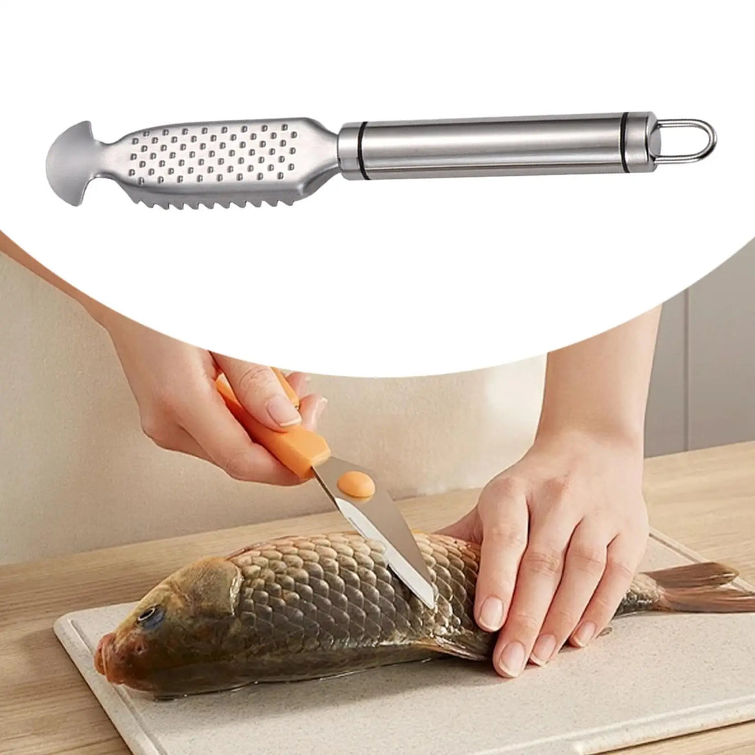 Stainless Steel Fish Scale Remover Tool with Comfortable Handle