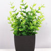 Mini Artificial Eucalyptus Potted Plant - Fake Plant in Black Pot for Indoor Home, Office & Bathroom Decor