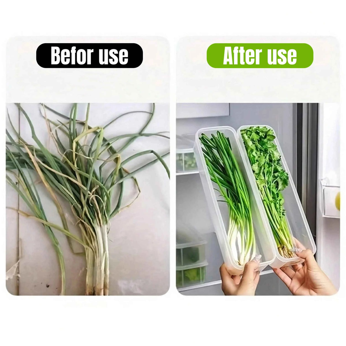 Refrigerator Storage Boxes with Lid - Airtight Fridge Organizer for Vegetables & Food (1/2/4 Pcs) - Hom Haven