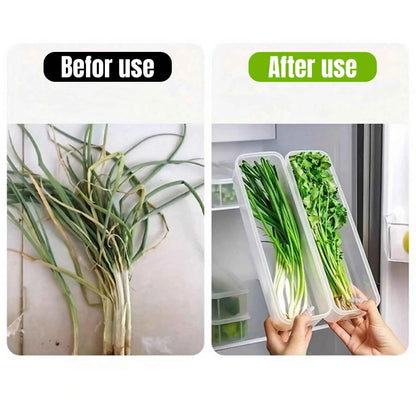 Refrigerator Storage Boxes with Lid - Airtight Fridge Organizer for Vegetables & Food (1/2/4 Pcs) - Hom Haven