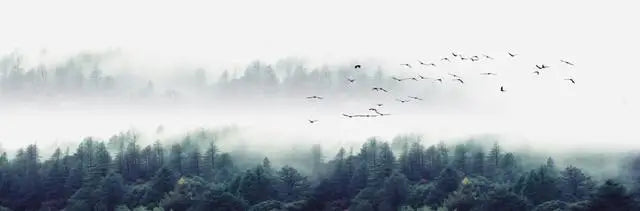 Landscape Canvas Wall Art - Lake, Forest & Mountain Scenery Painting Poster for Living Room & Bedroom - Hom Haven