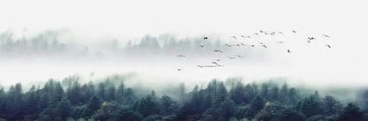 Landscape Canvas Wall Art - Lake, Forest & Mountain Scenery Painting Poster for Living Room & Bedroom - Hom Haven