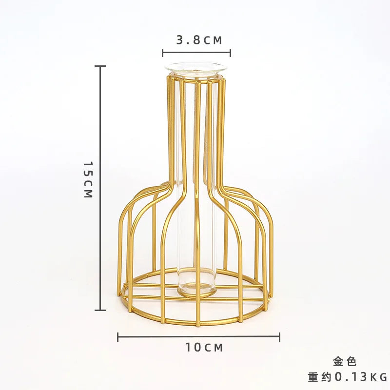 Nordic Iron Golden Hydroponic Vase - Living Room Table Top Decoration for Dried Flowers & Green Plants - Hom Haven