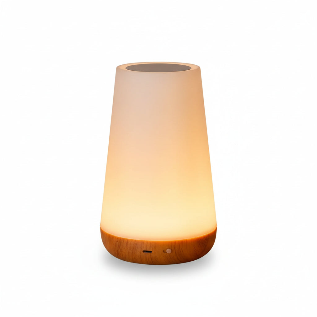 13-Color Changing RGB Night Light - Remote Control Touch USB Rechargeable Dimmable Bedside Table Lamp - Hom Haven